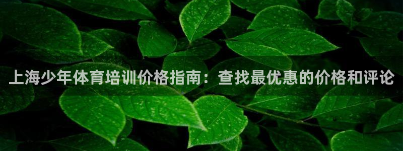 耀世的意思：上海少年体育培训价格指南：查找最优惠的价