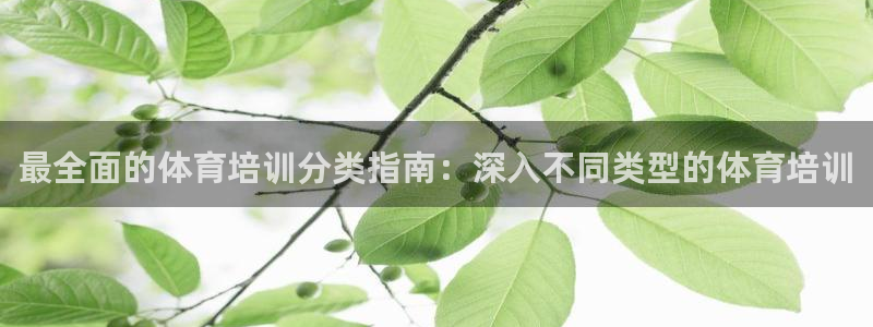 耀世登场的图片：最全面的体育培训分类指南：深入不同类