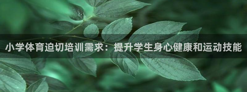 耀世娱乐下载最新版本安装包大全：小学体育迫切培训需求