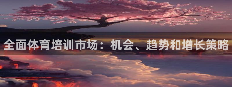 耀世娱乐挂机赚钱吗：全面体育培训市场：机会、趋势和增