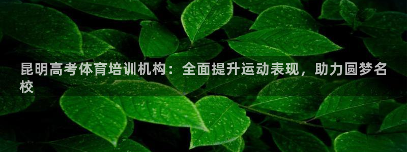 耀世是什么意思：昆明高考体育培训机构：全面提升运动表